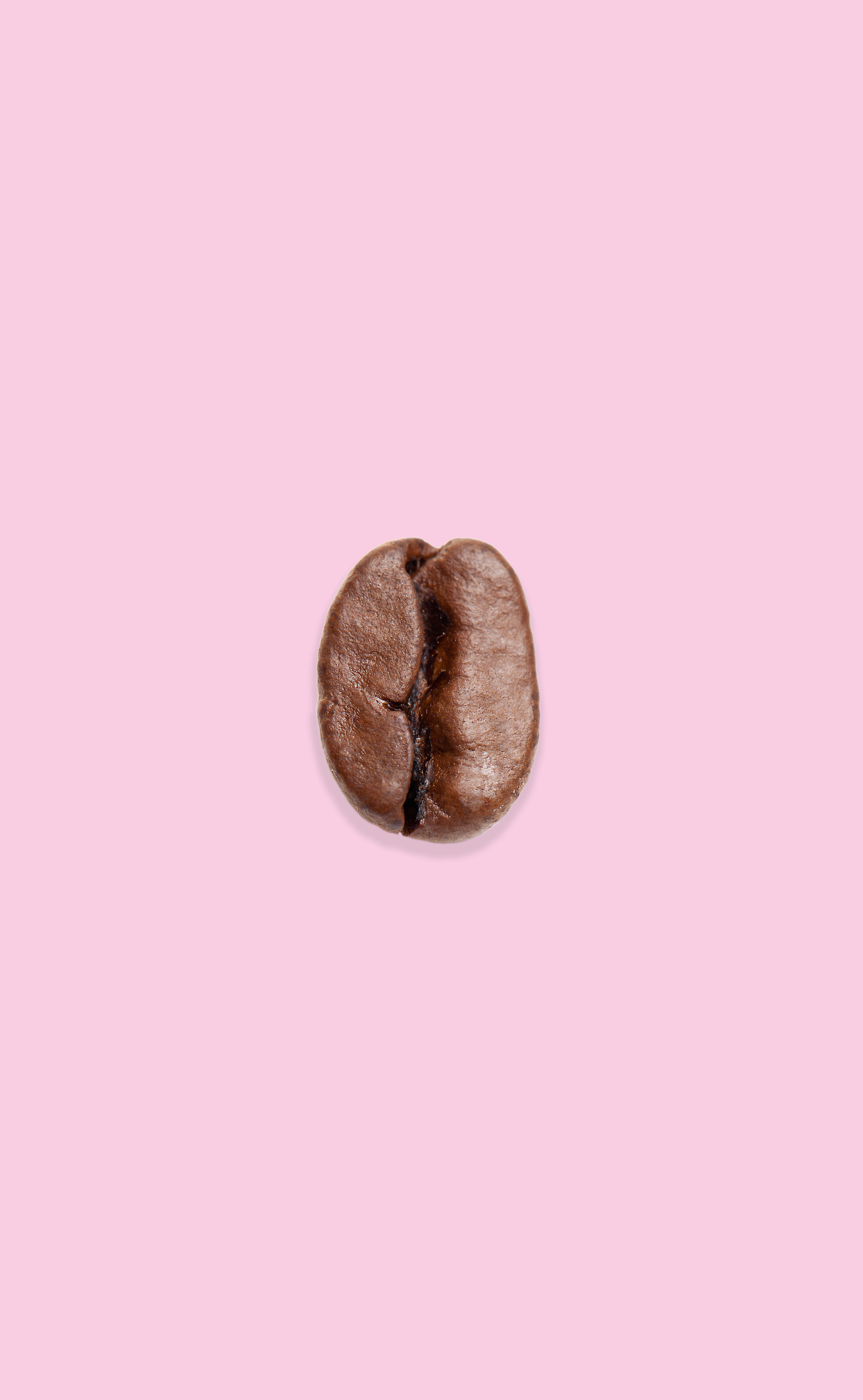 coffeemind_bean3